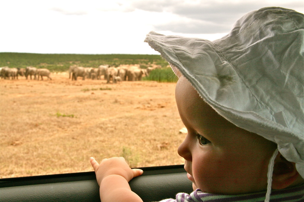 Südafrika mit KIndern: Im Addo Elephant Park